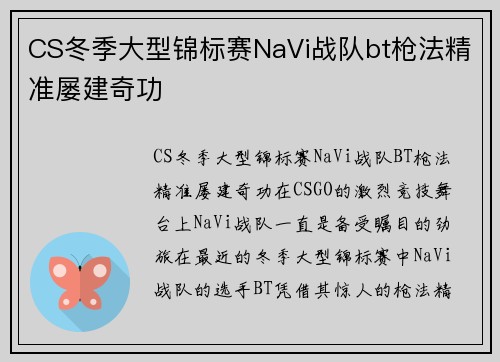 CS冬季大型锦标赛NaVi战队bt枪法精准屡建奇功