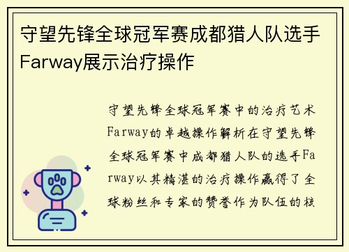 守望先锋全球冠军赛成都猎人队选手Farway展示治疗操作
